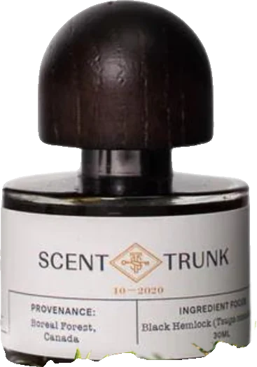Scent Trunk Black Hemlock