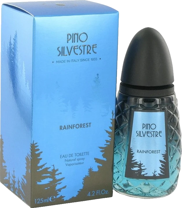 Pino Silvestre Rainforest