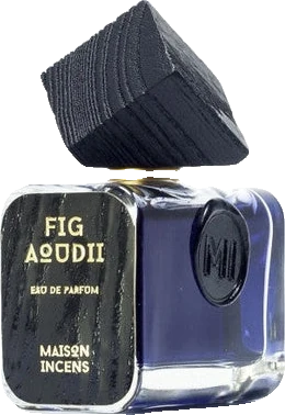 Maison Incens Figue Aoudii