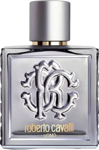 Roberto Cavalli Uomo Silver Essence