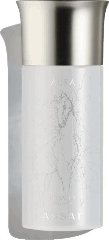Assaf Aura Pegasus