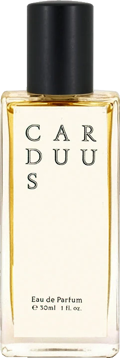 Jorum Studio Carduus