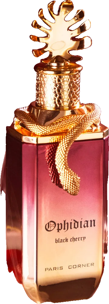 Paris Corner Ophidian Black Cherry