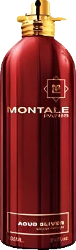Montale Aoud Sliver