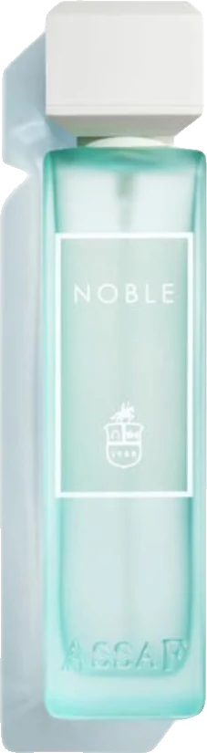 Assaf Noble