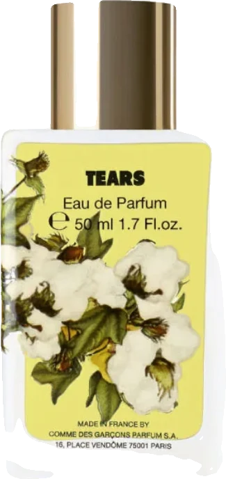 Comme des Garcons Denim Tears