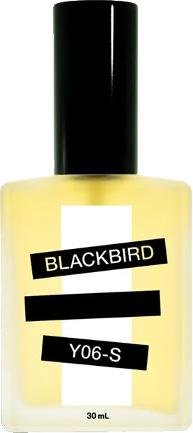 Blackbird Y06-S