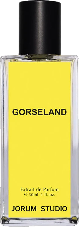 Jorum Studio Gorseland