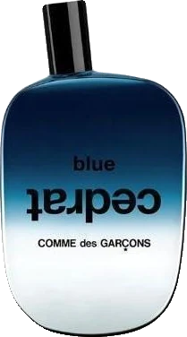 Comme des Garcons Blue Cedrat