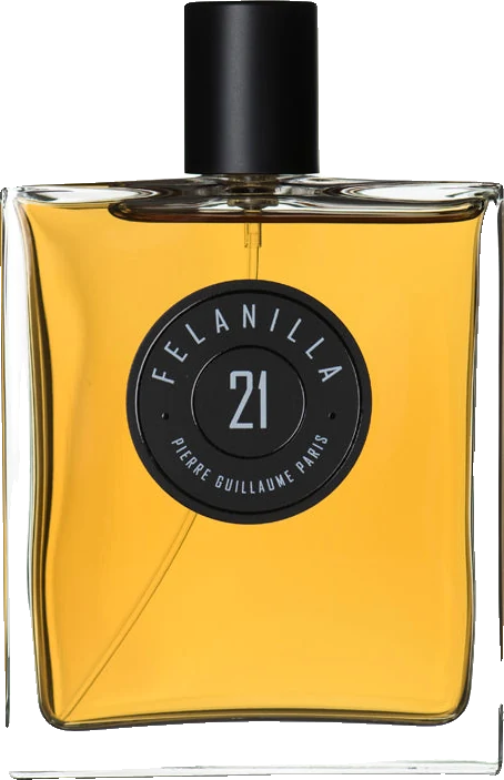 Pierre Guillaume Paris Felanilla