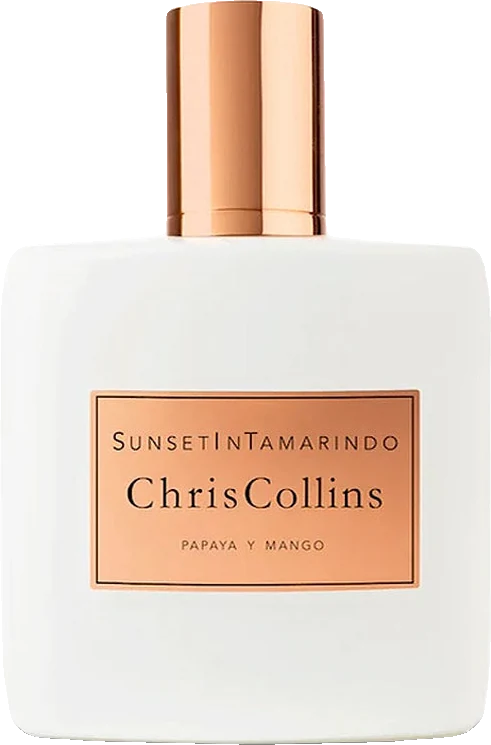 Chris Collins Sunset in Tamarindo
