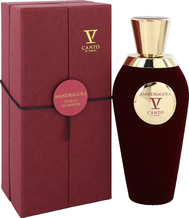 V Canto Mandragola V