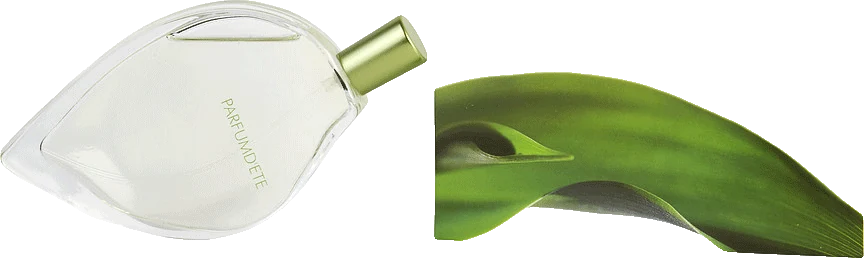 Kenzo Perfum Dete