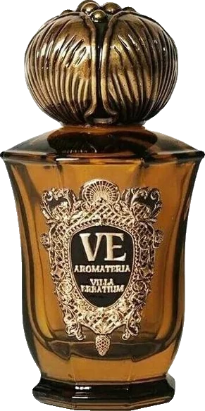 Villa Erbatium Wedding Odyssey