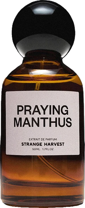 Strange Harvest Praying Manthus