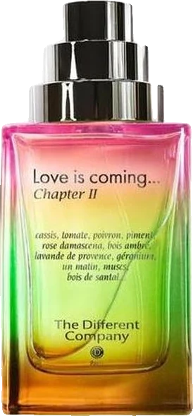 The Different Company Love is coming... Chapter II