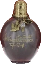 Taylor Swift Wonderstruck Enchanted