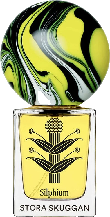 Stora Skuggan Silphium