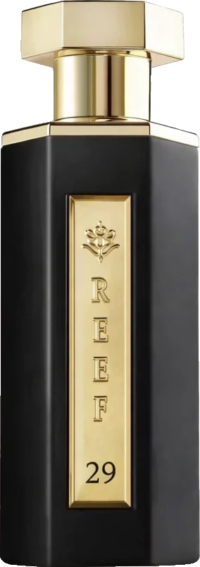 Reef 29