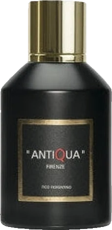 Antiqua Firenze Fico Fiorentino