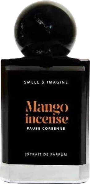 Pause Coréenne Mango Incense