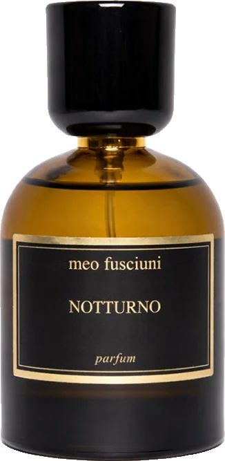Meo Fusciuni Notturno