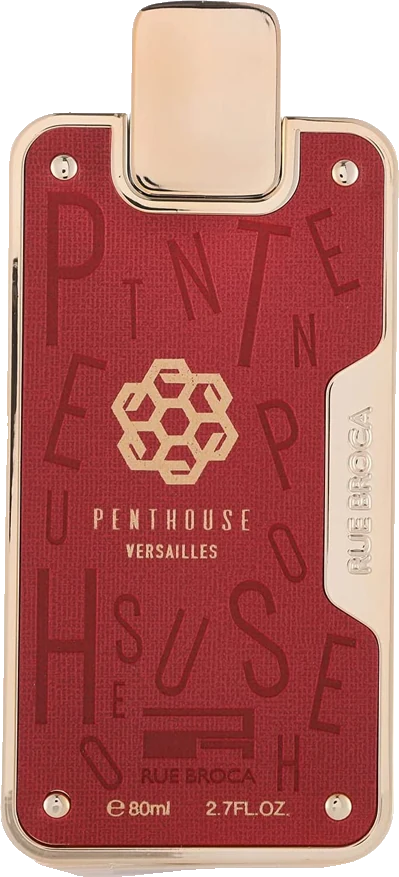 Afnan Rue Broca Penthouse Versailles