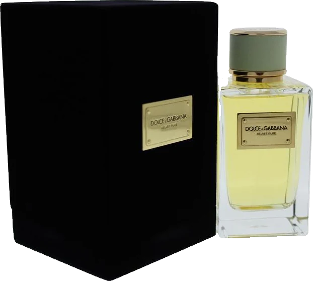 Dolce & Gabbana Velvet
