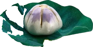 Mendittorosa Mauna