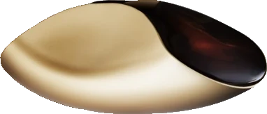 Calvin Klein Euphoria Liquid Gold