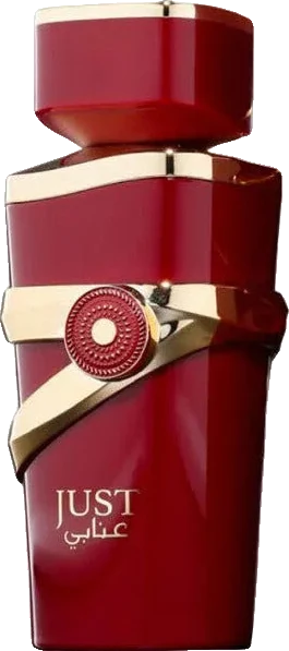 Fragrance World Just Anabi