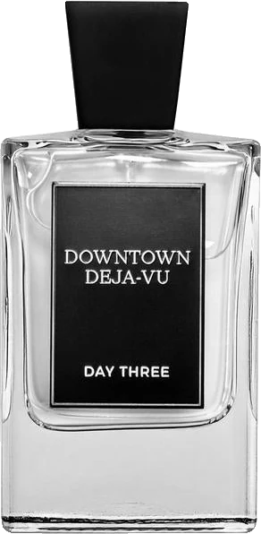 Day Three Downtown Deja-Vu