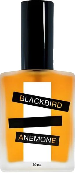 Blackbird Anemone
