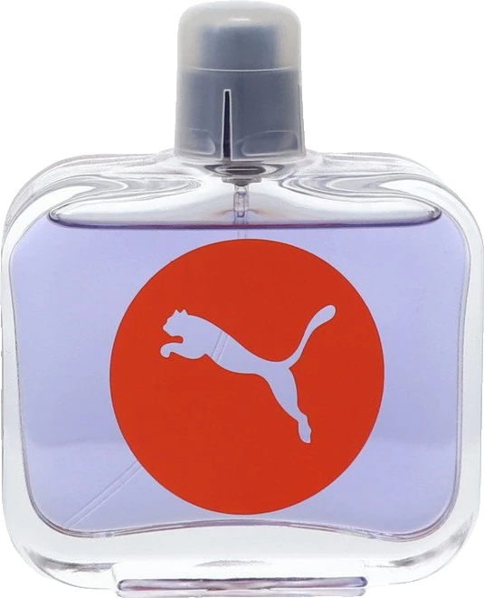 Puma Sync