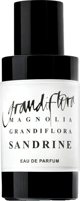 Grandiflora Magnolia Sandrine