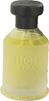 Bois 1920 Vetiver Ambrato