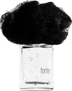 Filippo Sorcinelli Pioggia Forte