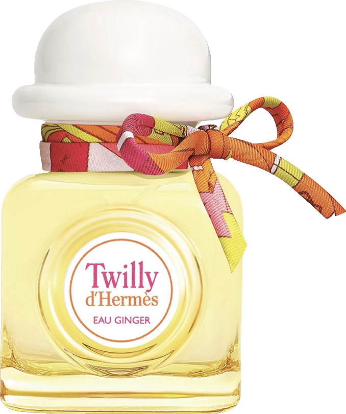 Hermes Twilly Ginger