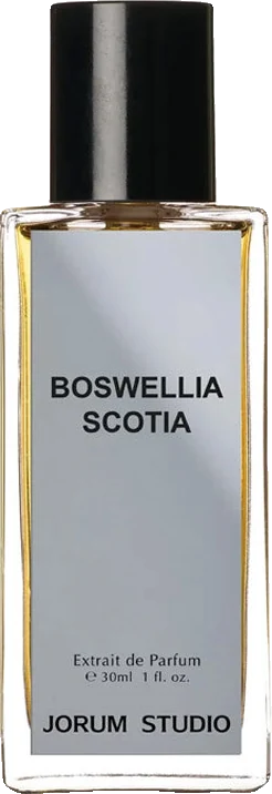 Jorum Studio Boswellia Scotia
