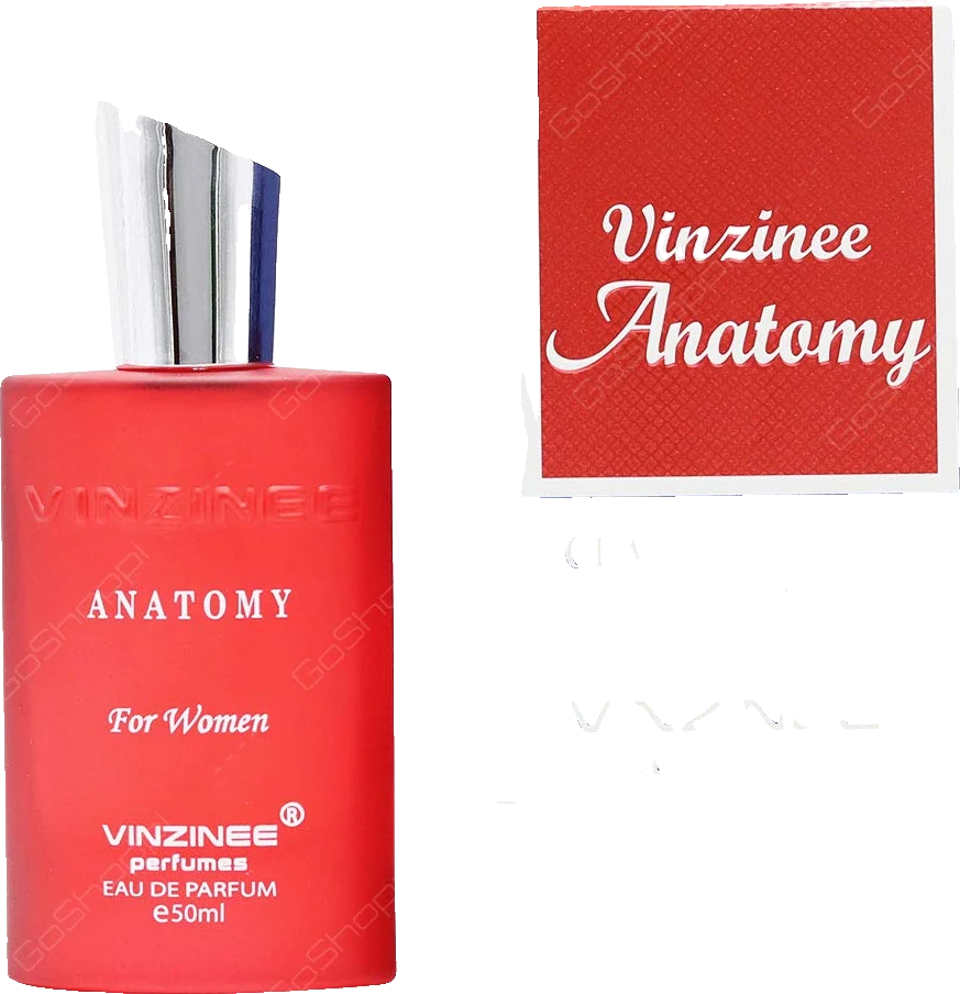 Anatomy Anatomy