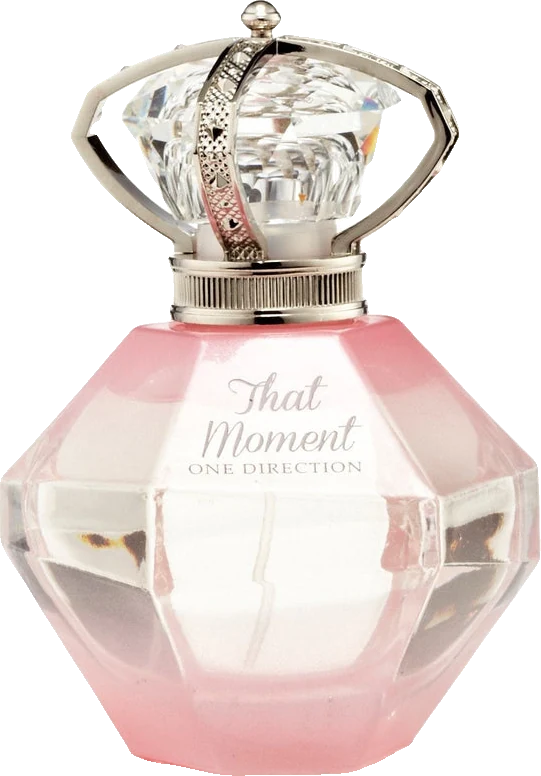 One Direction That Moment