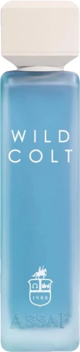 Assaf Wild Colt