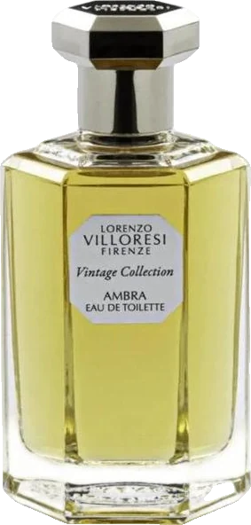 Lorenzo Villoresi Ambra