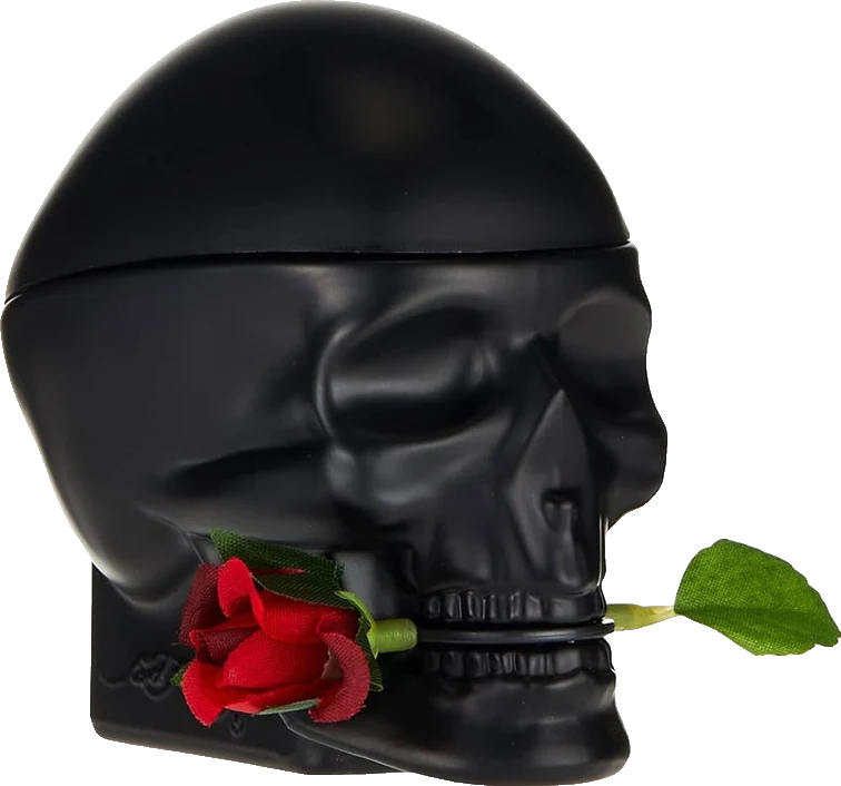 Christian Audigier Ed Hardy Skulls and Roses