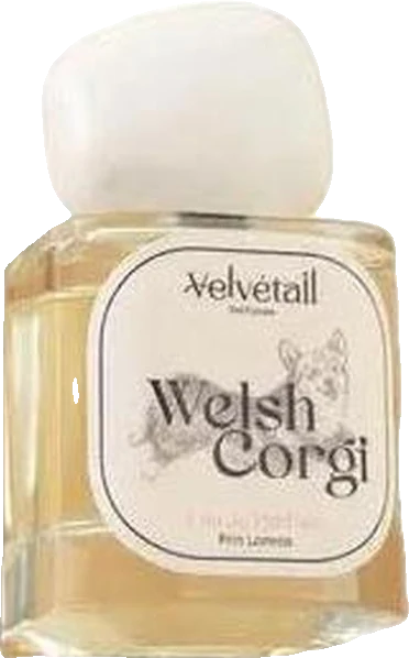 Velvétail Welsh Corgi