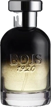 Bois 1920 Centenario