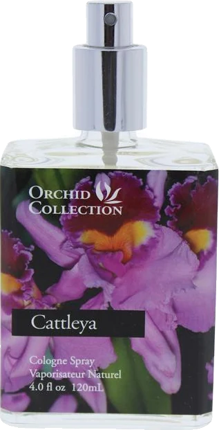 Demeter Cattleya Orchid