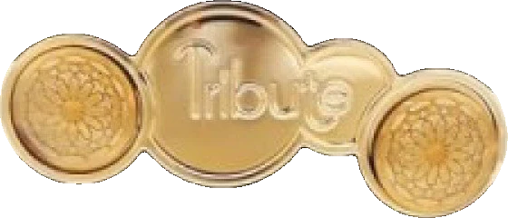 Afnan Tribute Black