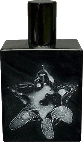 Space Fluid Narcis Nocturne