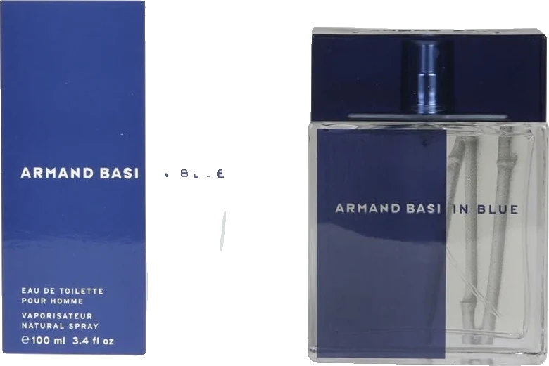 Armand Basi In Blue